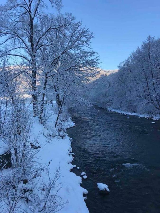 Hotel Сонячна Соната Polyana  Esterno foto