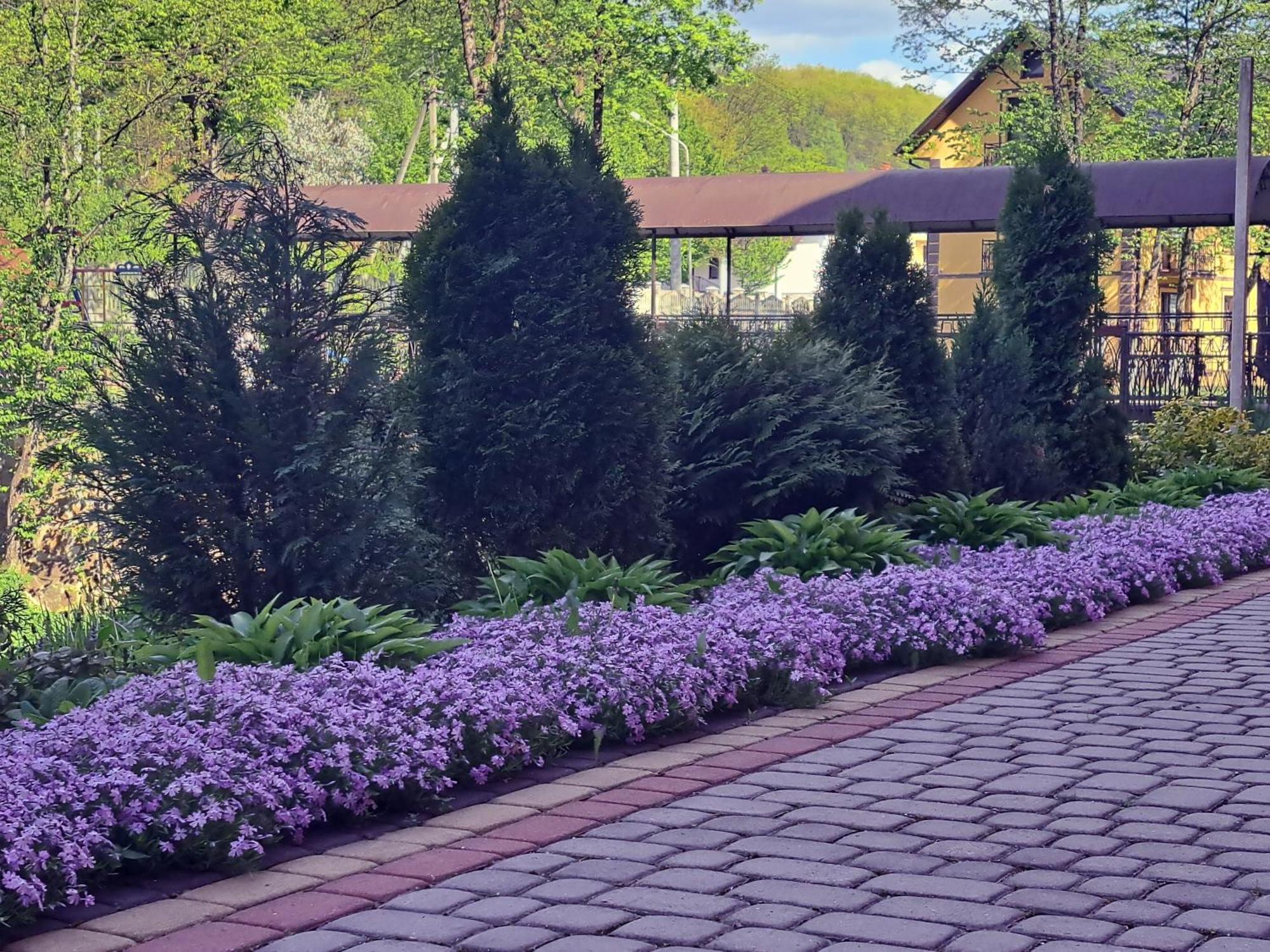 Hotel Сонячна Соната Polyana  Esterno foto